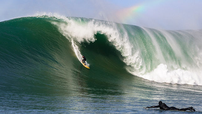 mavericks