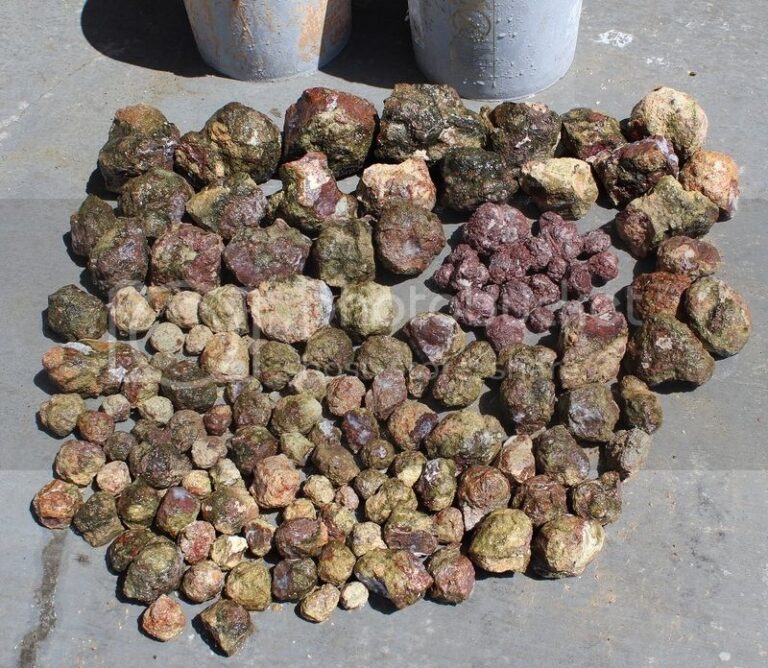 pile of geodes from hauser geode beds 768x668